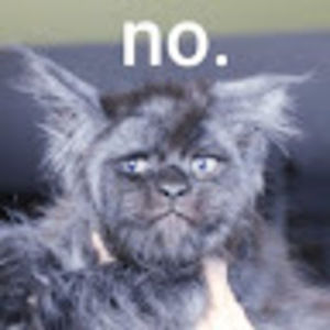 Meet your Posher, Ian